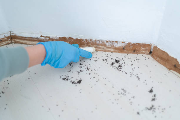 Best Real Estate Pest Inspections  in Rkville, PA